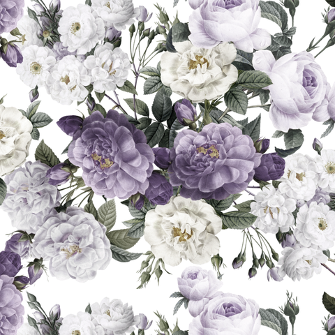 Heritage Roses - Lavender