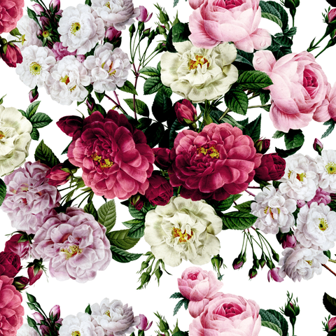 Heritage Roses - Pink