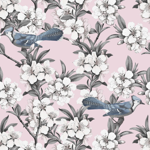 Bluejays & Blossom - Pink