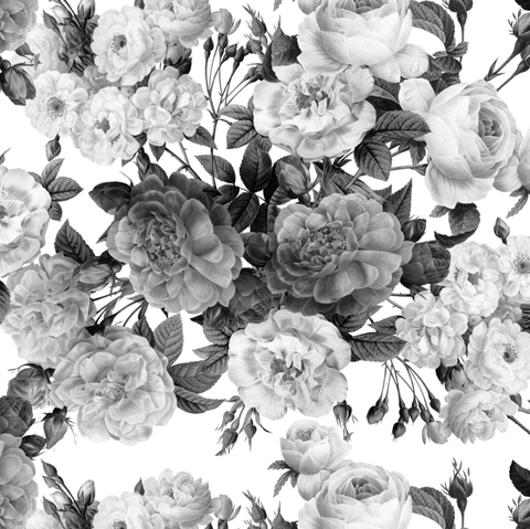Heritage Roses - Grey